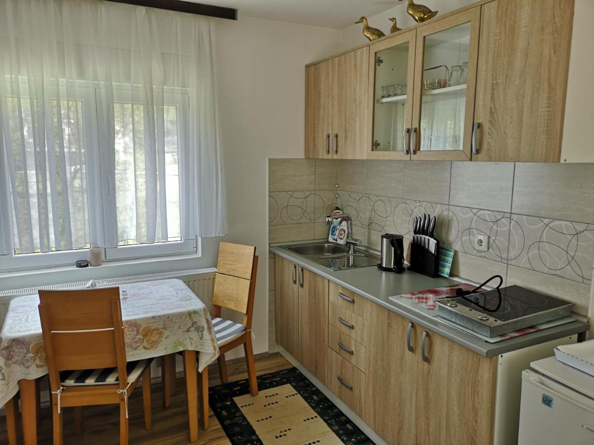 Banja Koviljača Apartmani Zubor מראה חיצוני תמונה
